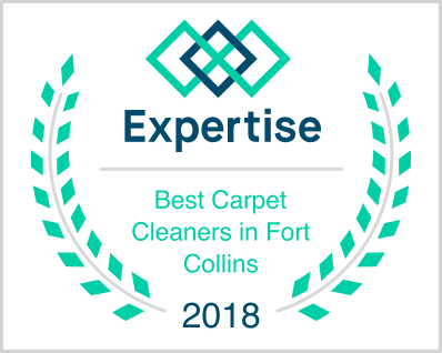 Expertise Best Carpet Cleaner