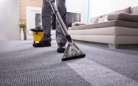 Carpet Stain Removal Fort Collins