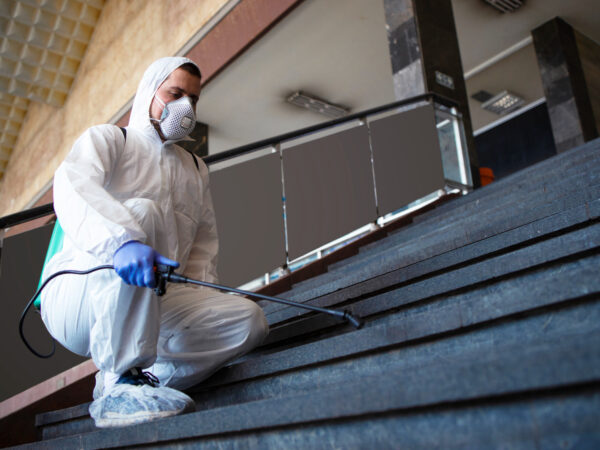 Bed Bug Treatment Fort Collins