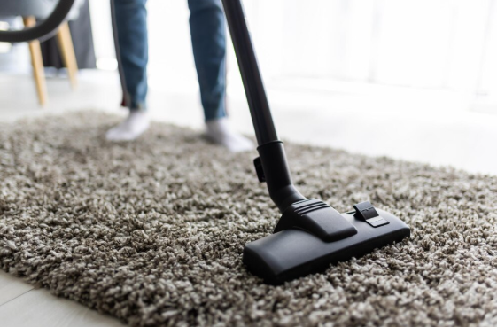 How to Choose the Best Carpet Cleaners for Your Windsor or Fort Collins Home
