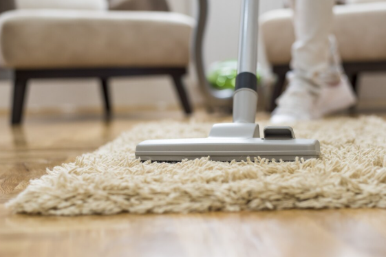 How Professional Carpet Cleaning Helps Homes in Windsor and Timnath