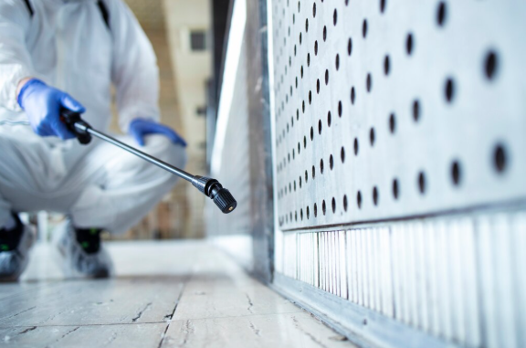 Professional Bed Bug Treatment: Why Thorough Cleaning Matters