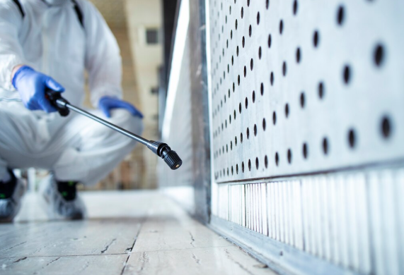 The Truth About Professional Bed Bug Treatment in Fort Collins
