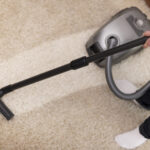 Carpet Cleaning for Bed Bugs in Fort Collins: Helping Protect Your Home From Infestations